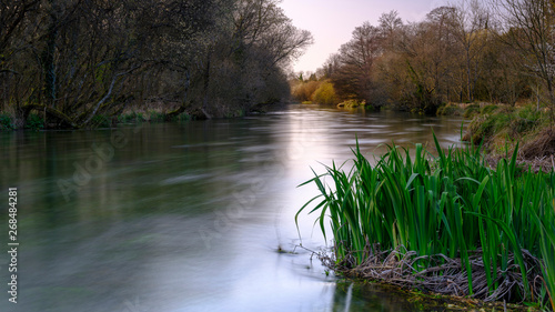 The River Itchen in spring at Ovington, Hampshire, UK photo