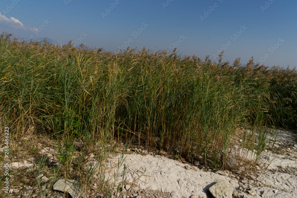 Steine. Meer. Strand. Steine. Meer. Strand.