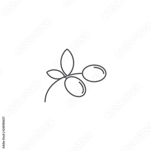 olives branch plant vector icon concept, isolated on white background