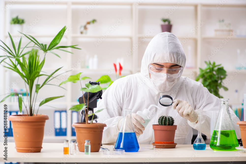 Biotechnology chemist working in lab Biotechnology chemist working in lab