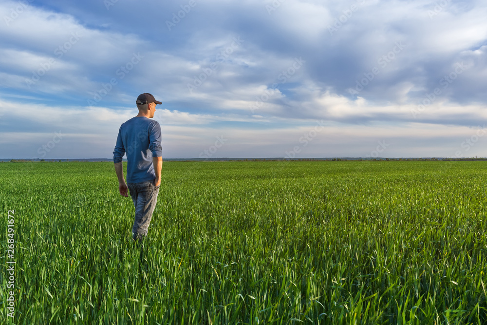 people wheat field sunset / landscape spring field agriculture of Ukraine people wheat field sunset / landscape spring field agriculture of Ukraine