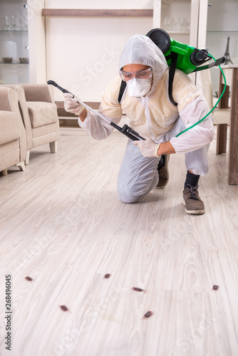 Pest control contractor working in the flat 