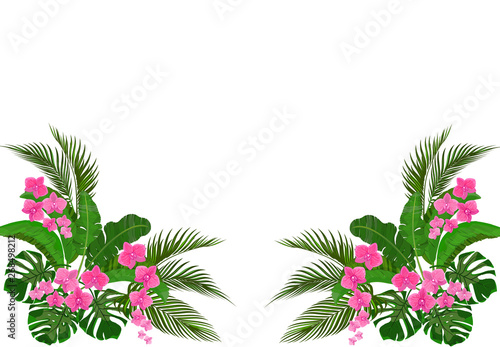 Set  bouquet. Corner drawing. Green tropical leaves of banana  coconut  monstera and ogawa. Pink Orchid. illustration