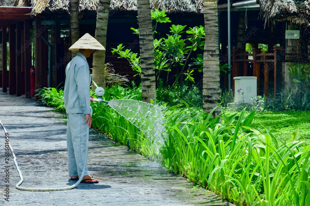 A gardener in overalls and a bamboo hat is hosing off tropical plants on hotel site.