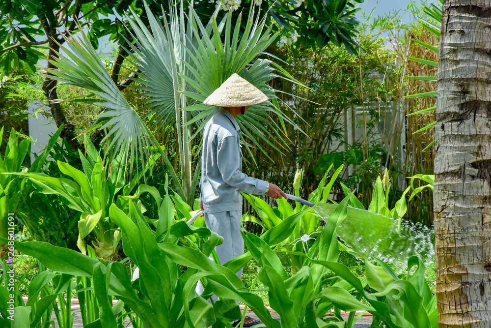 A gardener in overalls and a bamboo hat is hosing off tropical plants on hotel site.