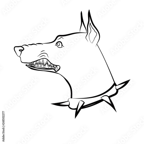 Angry dog. Doberman with grin. Dog with spike collar. Vector linear drawing.