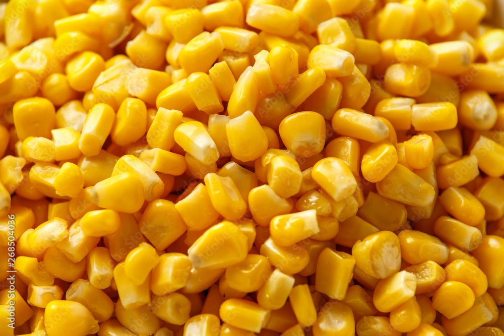 Sweet Corn in white bowl. Healthy food Sweet Corn in white bowl. Healthy food
