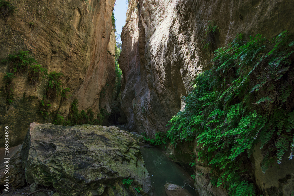 Avakas Gorge in Cyprus Avakas Gorge in Cyprus