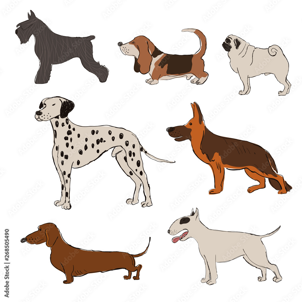 Collection Of Dog Breeds Icons Collection Of Dog Breeds Icons