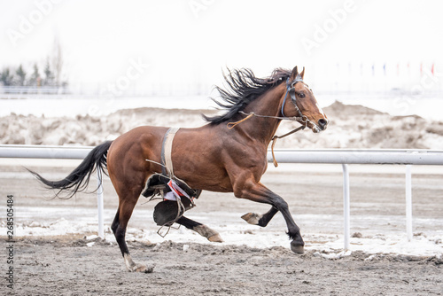 Escaped from the rider during the competition red horse