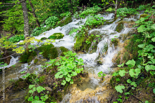 Plitvice Lakes National Park in Croatia © Takacs Szabolcs