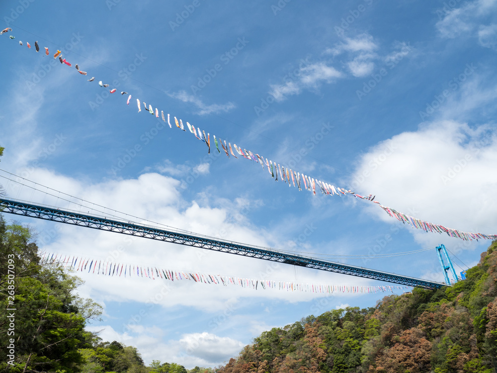 茨城県の竜神大吊橋 竜神峡鯉のぼりまつり Stock Photo Adobe Stock