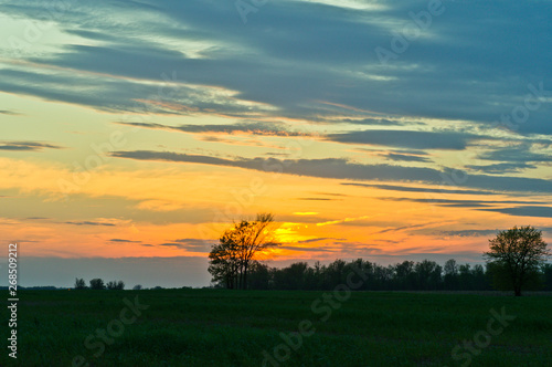 Sunset in the Country