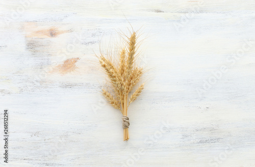 Fototapeta Naklejka Na Ścianę i Meble -  top view of wheat crops over white wooden background. Symbols of jewish holiday - Shavuot