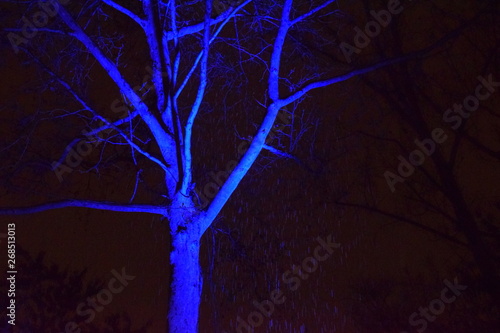 Baum in Blau  4