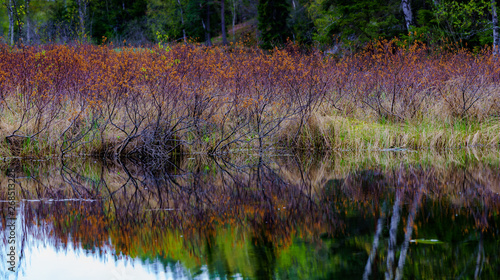 Fototapeta Naklejka Na Ścianę i Meble -  Rolandsjøen, jezioro, innsjø, lake, Norwegia, Skandynawia, Scandinavia, most, bridge, bru, wiosna, spring