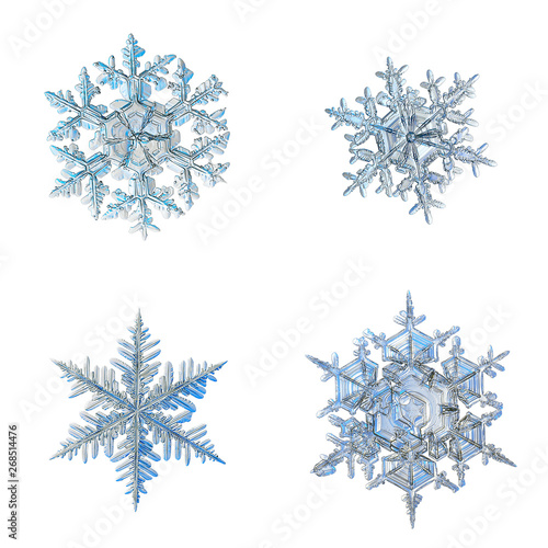 Four snowflakes isolated on white background. Macro photo of real snow crystals: elegant stellar dendrites with ornate shapes, fine hexagonal symmetry, glossy relief surface and complex inner details.