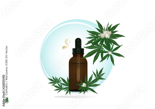 Beautiful banner of Pure extract oil from Cannabis or Marijuana flower and leaf with CBD strain for medical treatment by droped under the tongue and absorbed into patient illustration for advertising