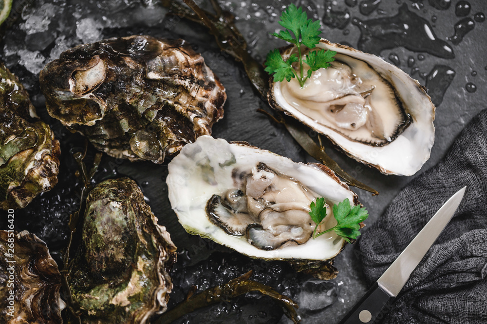 Fresh opened oysters with lemon, spices, salt, a knife and seaweed on slate stone background. Seafood, Shellfish, close up Fresh opened oysters with lemon, spices, salt, a knife and seaweed on slate stone background. Seafood, Shellfish, close up