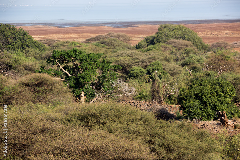Tansania - Serengeti