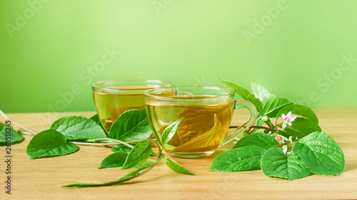 Two glass cups of tonic herbal tea with intact whole leaves from shisadra chinensis or magnolia vine plant with fresh leaves, branches and flowers nearby on wooden table on light green background photo