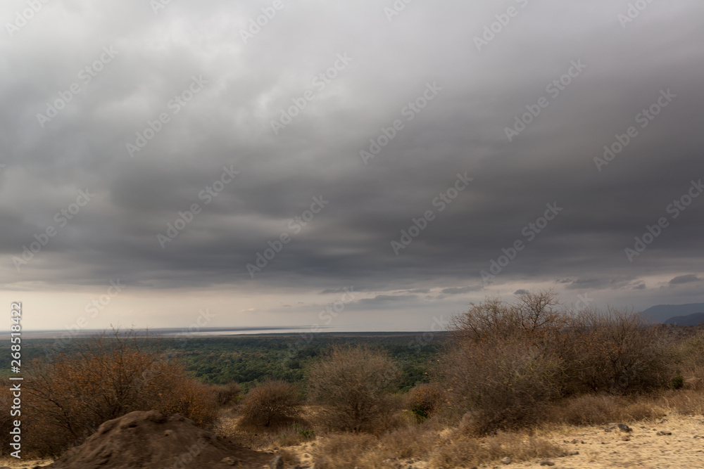 Der Manyara Nationalpark - Tansania Der Manyara Nationalpark - Tansania