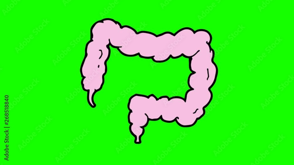 kids drawing green screen with theme of colon kids drawing green screen with theme of colon