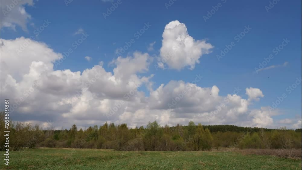 Time lapse of white clouds forming above a green forest and on a blue sky, on a warm sunny summer day. 4k Time lapse of white clouds forming above a green forest and on a blue sky, on a warm sunny summer day. 4k