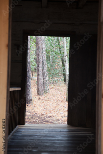 Open wooden door to the woods outdoors