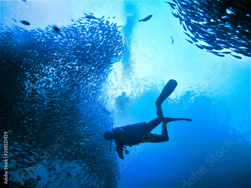 Underwaterphoto of a scuba diver and school of fish at the divesite Koh Bida Nok at Phi Phi Islands in Thailand photo