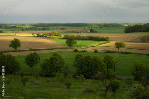 rural landscape with green field and blue sky