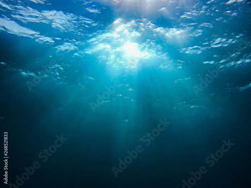 Fototapeta Naklejka Na Ścianę i Meble -  Sunlights in the ocean - underwaterphoto from a scuba dive