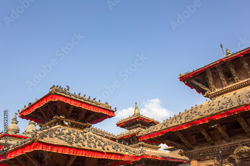a flock of gray pigeons sitting on the red roofs of ancient Asian temples against a clean blue sky