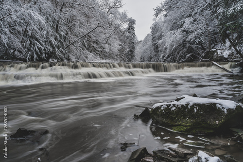 winter wonderland