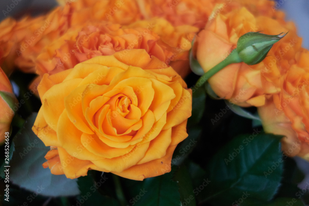 bouquet of yellow roses, holiday flowers bouquet of yellow roses, holiday flowers