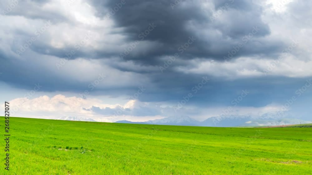 Thunderclouds over a spring wheat field. Thunderclouds over a spring wheat field.