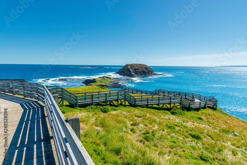 Natural and animals in Phillip Island photo