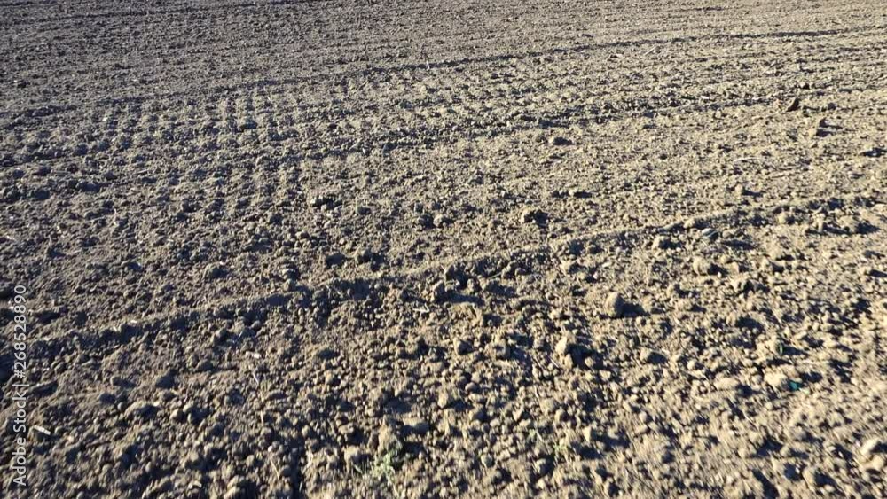 The agricultural field, shooting of the plowed earth. The agricultural field, shooting of the plowed earth.