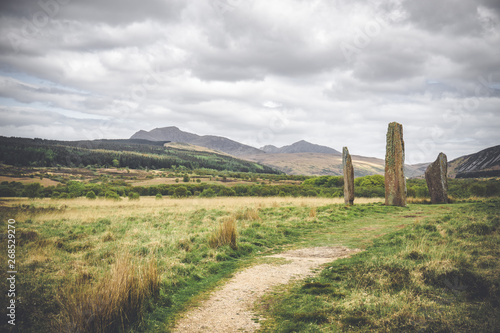 Machrie Moor standing stones  Isle of Arran  Scotland.