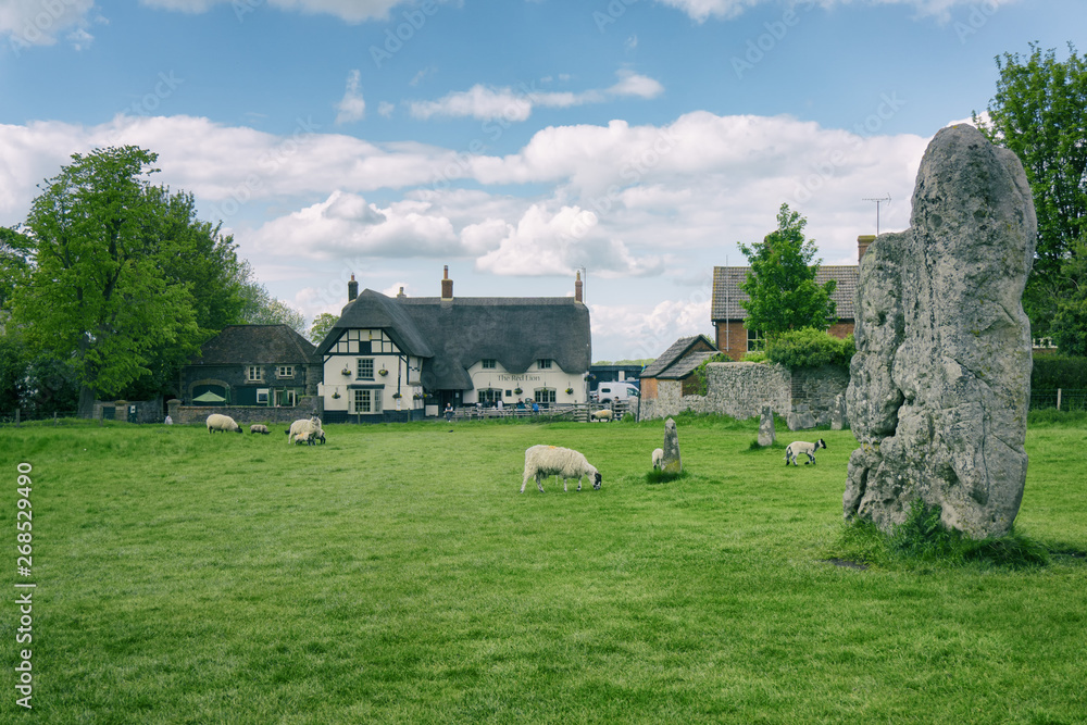 Sheep and cottage in Avebury stone circles, England.