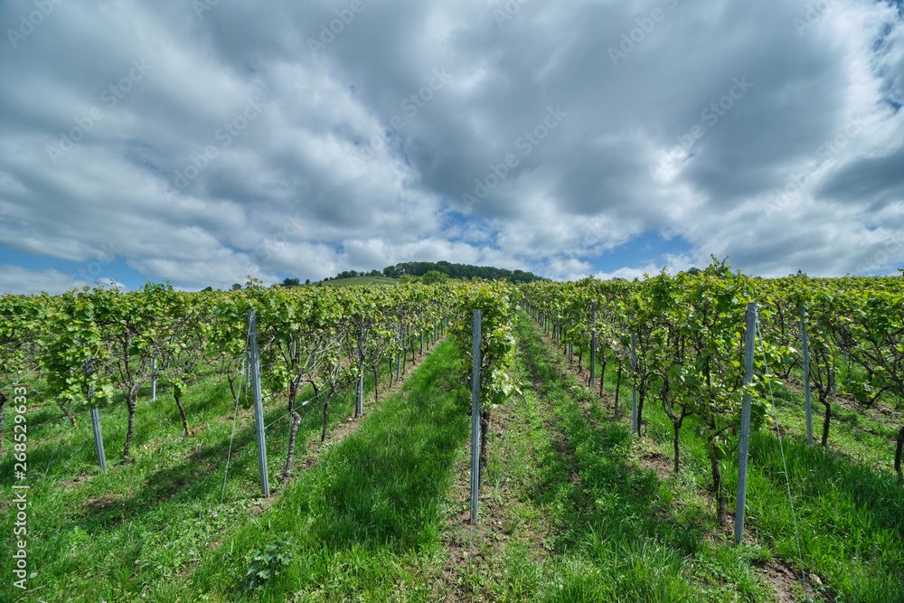 Zwischen Bensheim und Heppenheim Zwischen Bensheim und Heppenheim