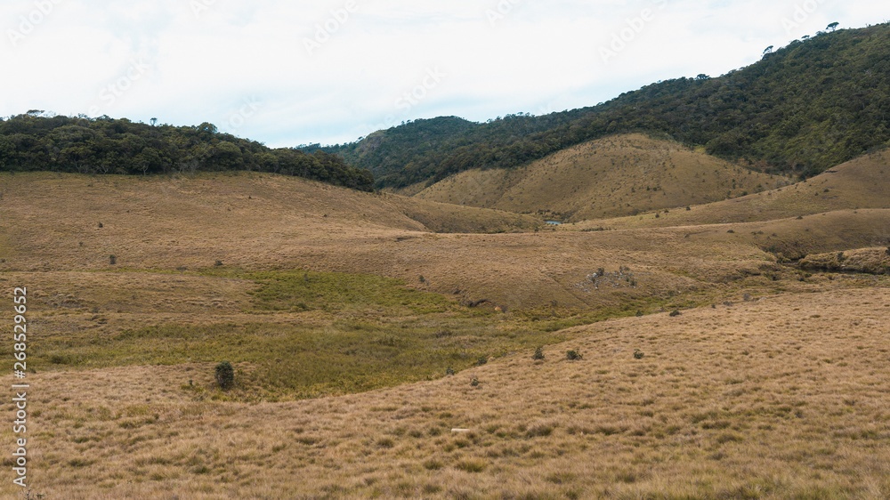 view of landscape in Horton Plains National Park, Sri Lanka
