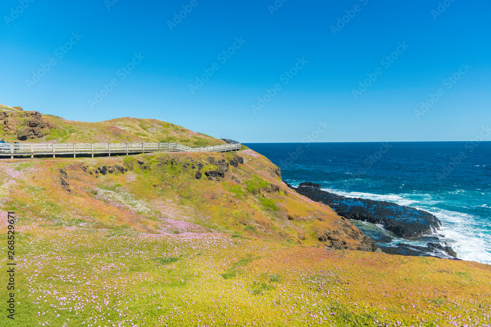 Natural and animals in Phillip Island Natural and animals in Phillip Island