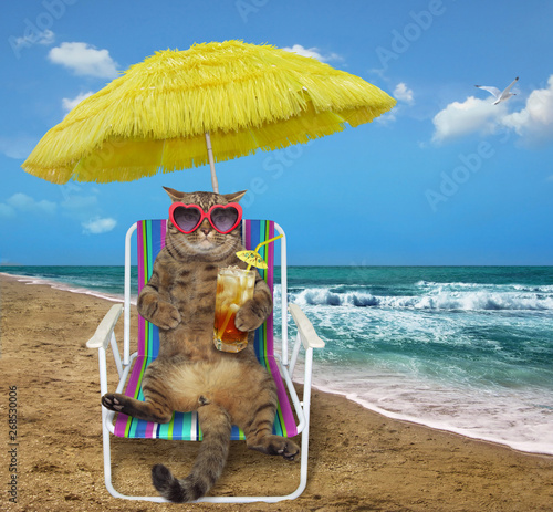 The cat in sunglasses under a yellow umbrella drinks cocktail on a beach chair on the sea shore.