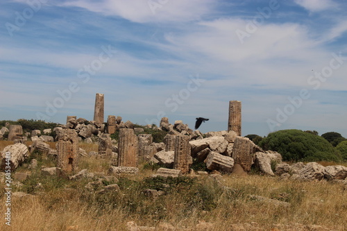 Sicilia