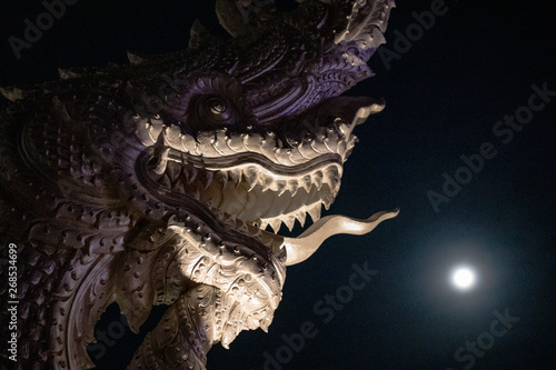 Head of Naga or Buddhist dragon on black background and the Full moon in the dark night. Abstract of light, power of dark and fear. Noise Gain in the photo.
