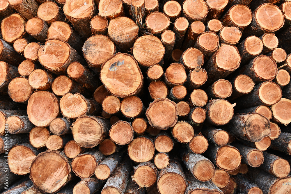 Lumber Industry Abstract Lumber Industry Abstract