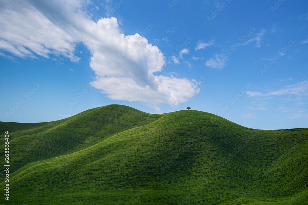 Fototapeta premium colline Toscane