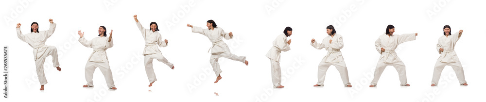 Karate fighter isolated on white Karate fighter isolated on white