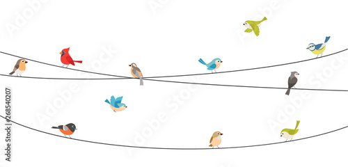 Canvas Print Colorful birds sitting on wire isolated on white